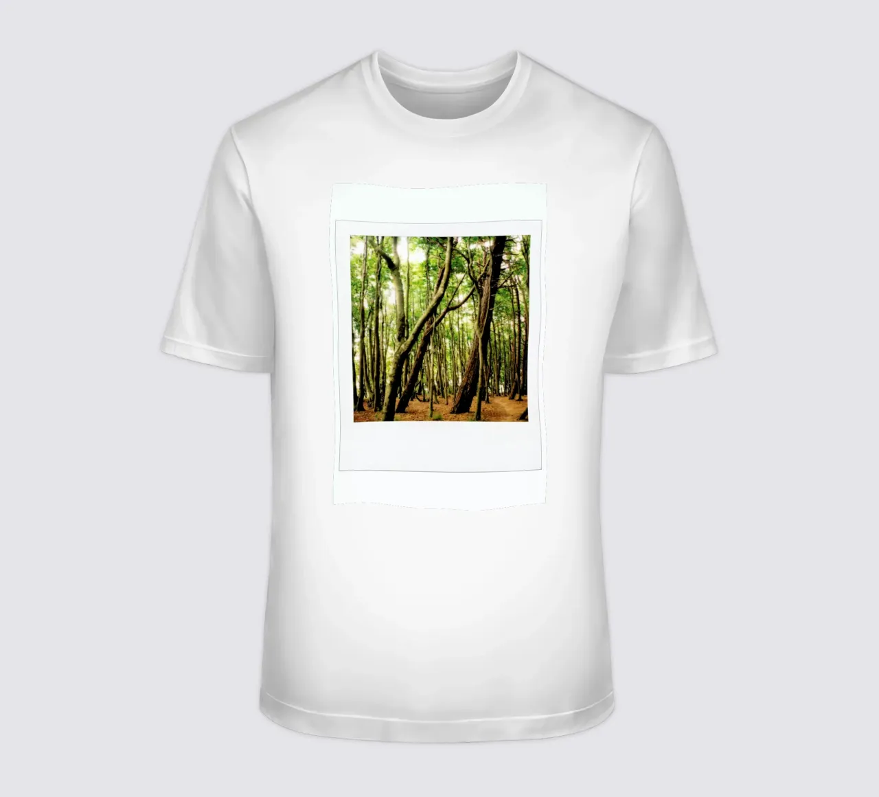 Forest t-shirt da Lou Garoup