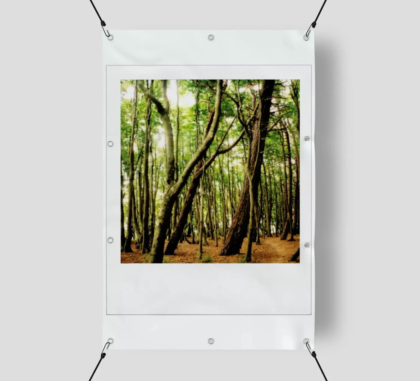 Forest PVC Plane von Lou Garoup