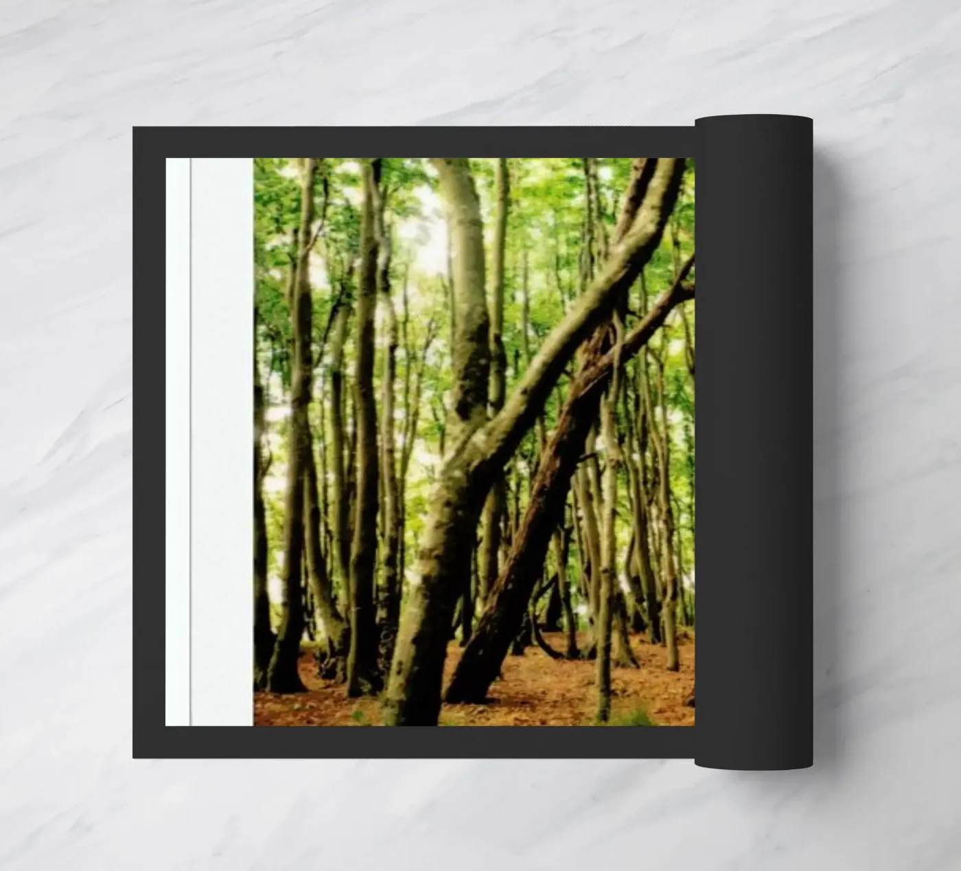 Forest paillasson de Lou Garoup