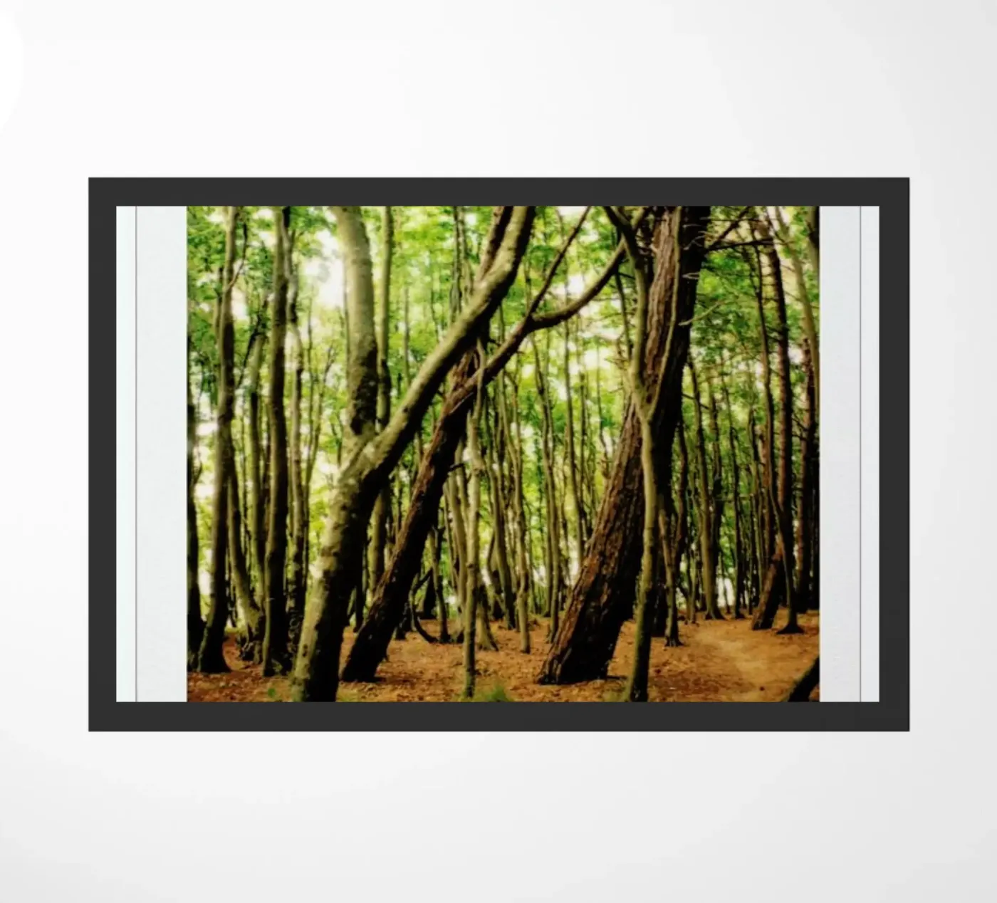 Forest paillasson de Lou Garoup