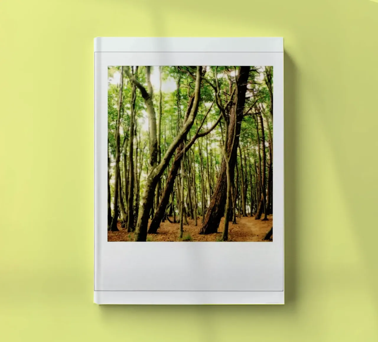 Forest notebook by Lou Garoup