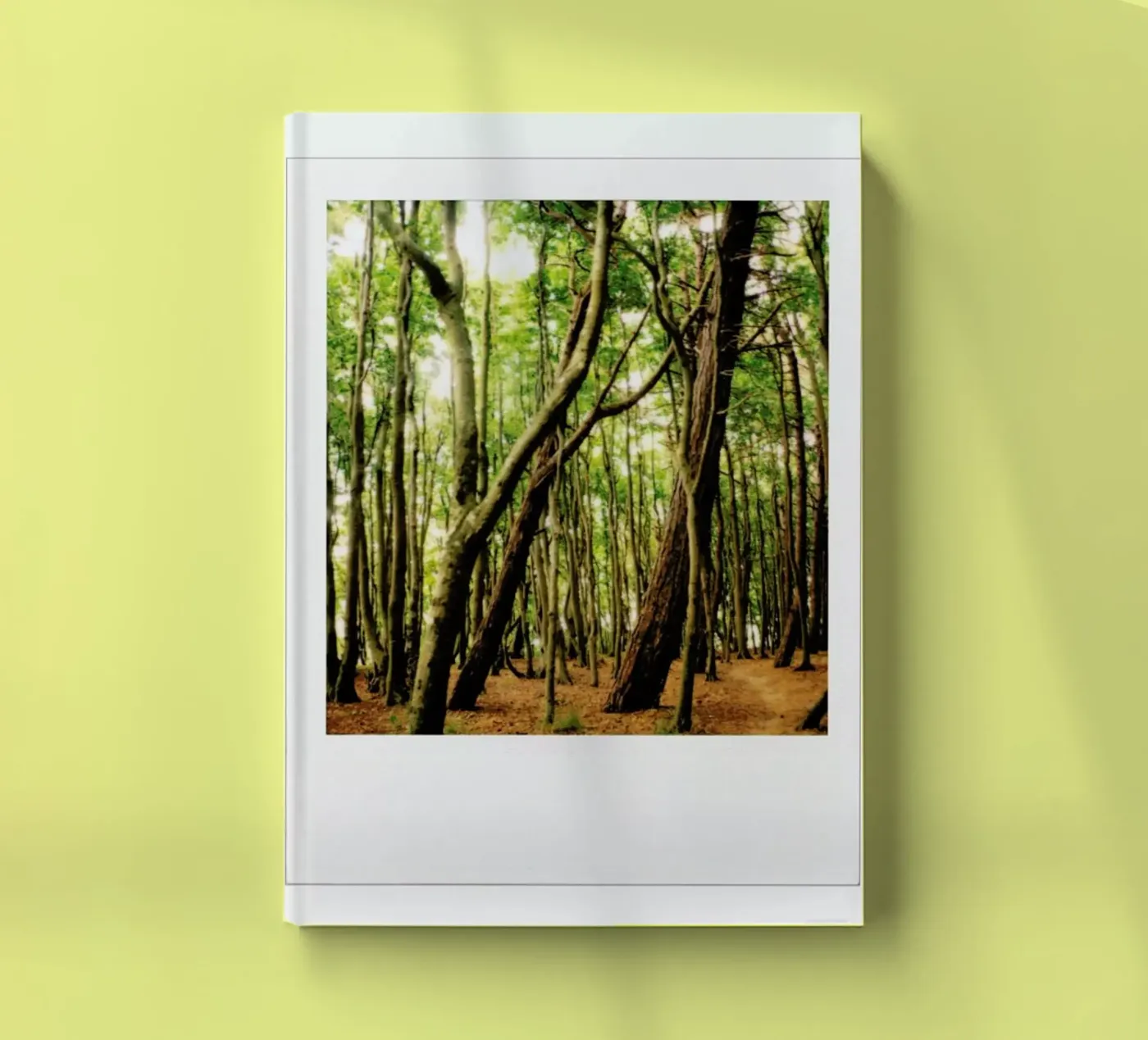 Forest notitieboek van Lou Garoup