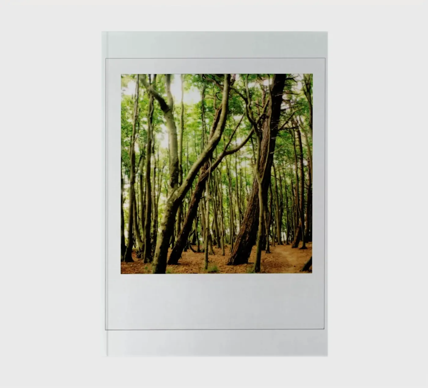 Forest notitieboek van Lou Garoup