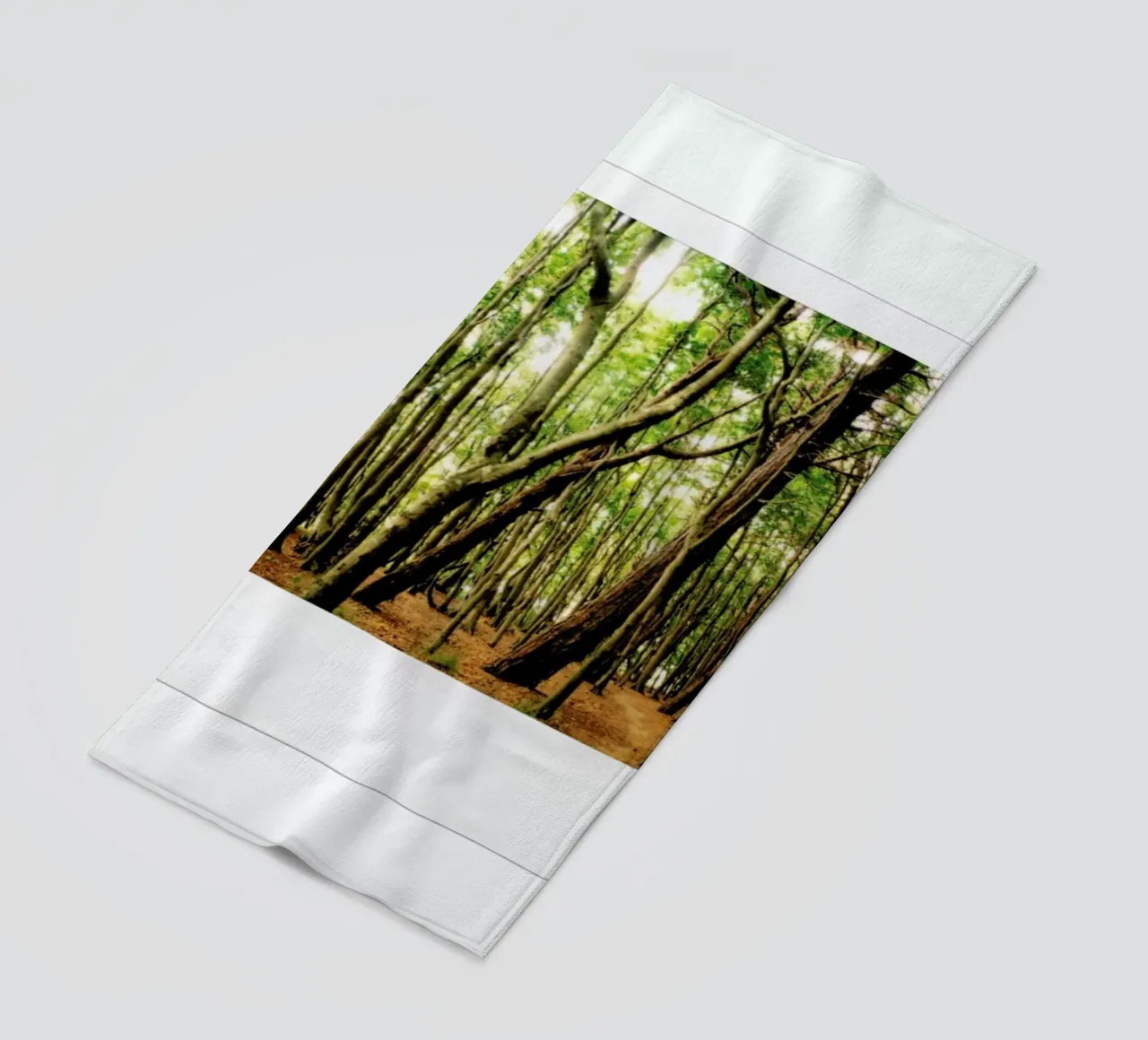 Forest beach towel by Lou Garoup