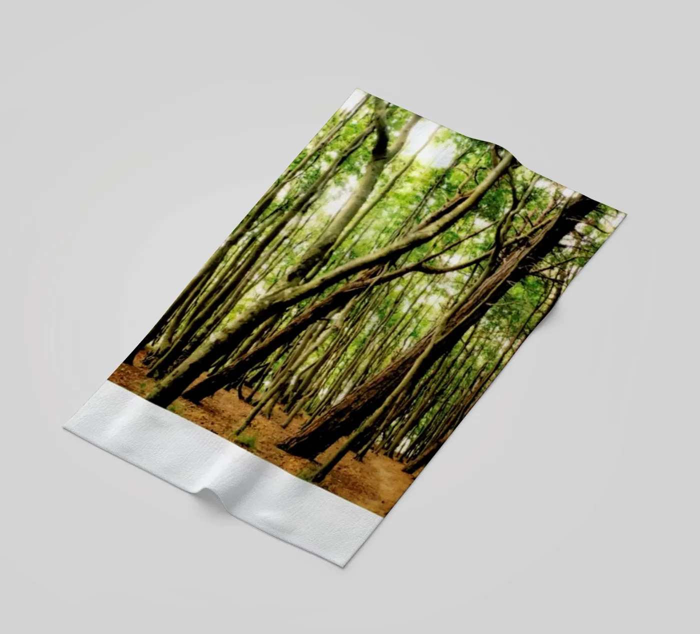 Forest telo mare da Lou Garoup