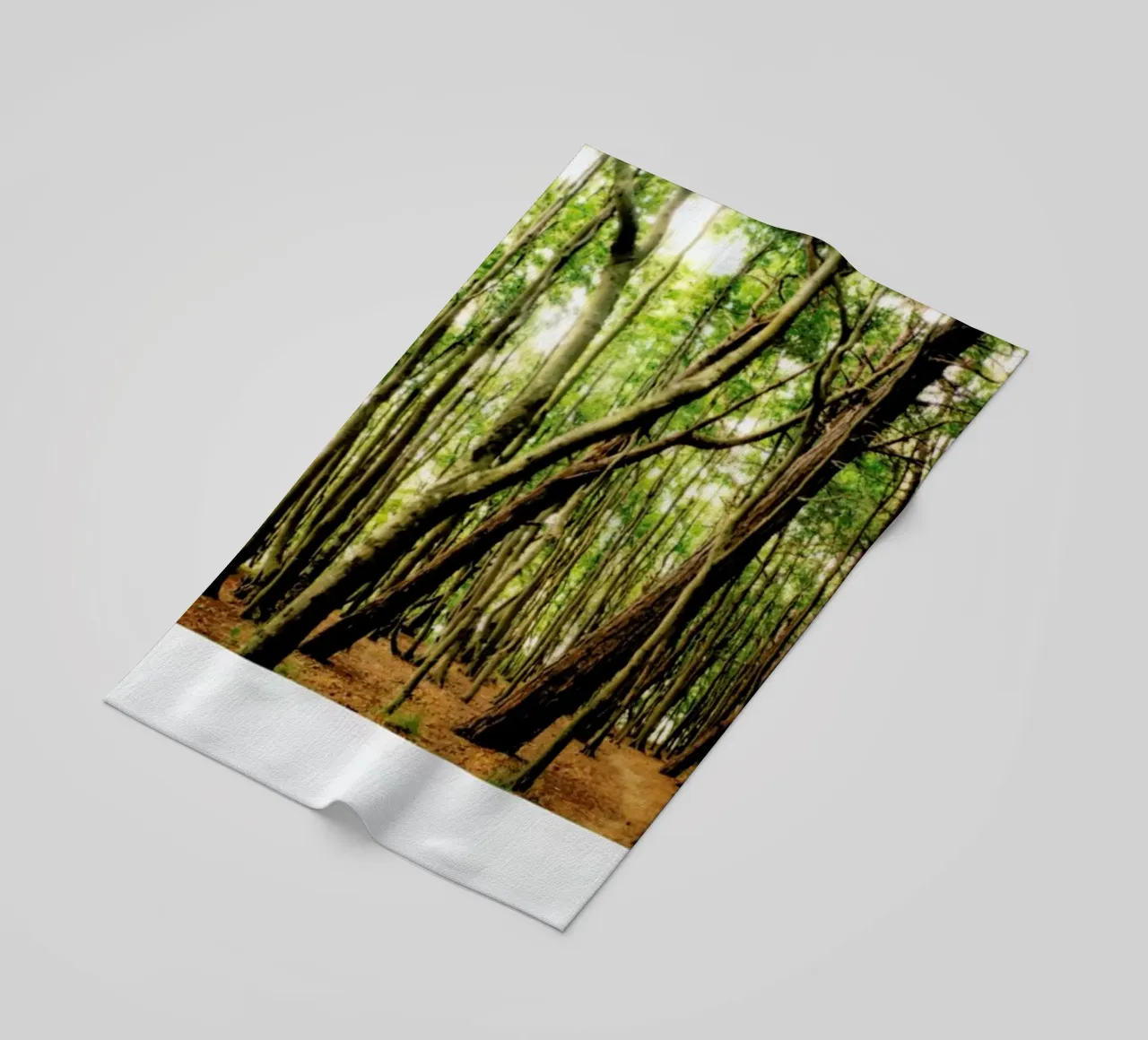 Forest beach towel by Lou Garoup