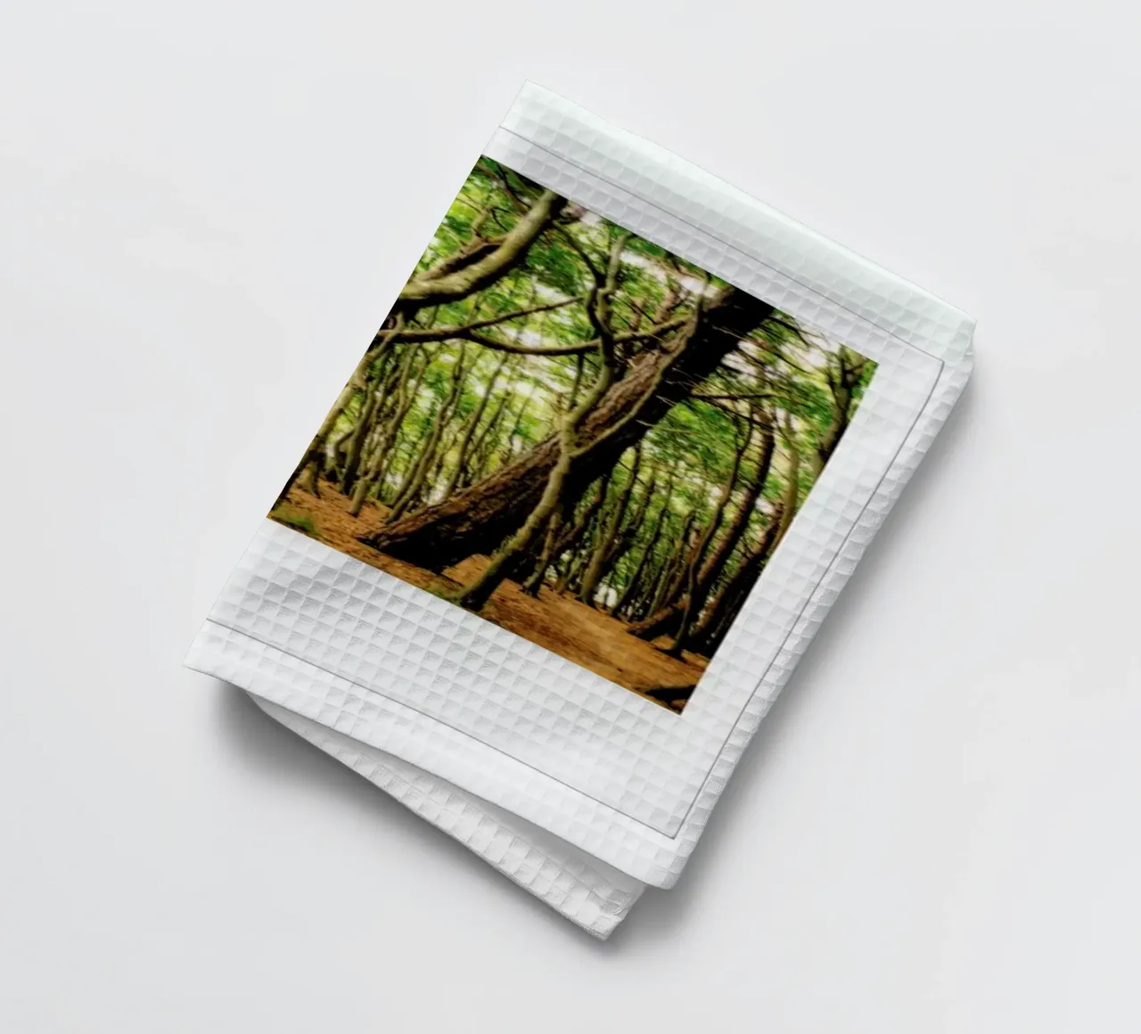 Forest Geschirrtuch von Lou Garoup