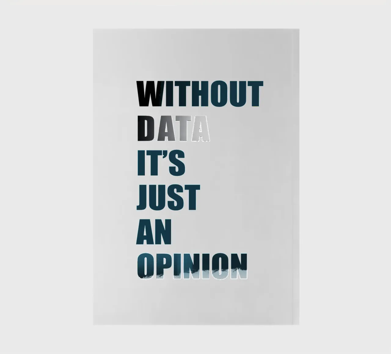 Without data it's just an opinion notebook by LIMITED EDITION LETTERS