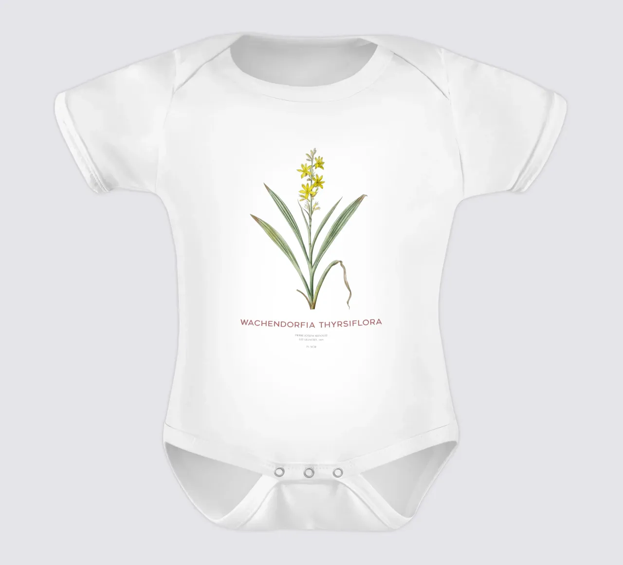 Marsh butterfly lily or Wachendorfia thyrsiflora short-sleeve baby romper by Vintagrafica