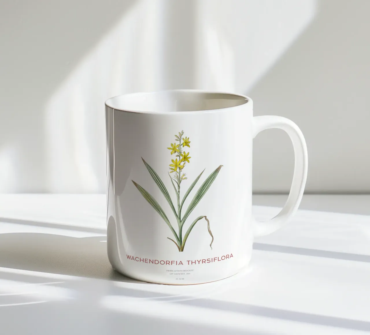 Giglio farfalla di palude o Wachendorfia thyrsiflora tazza in ceramica da Vintagrafica