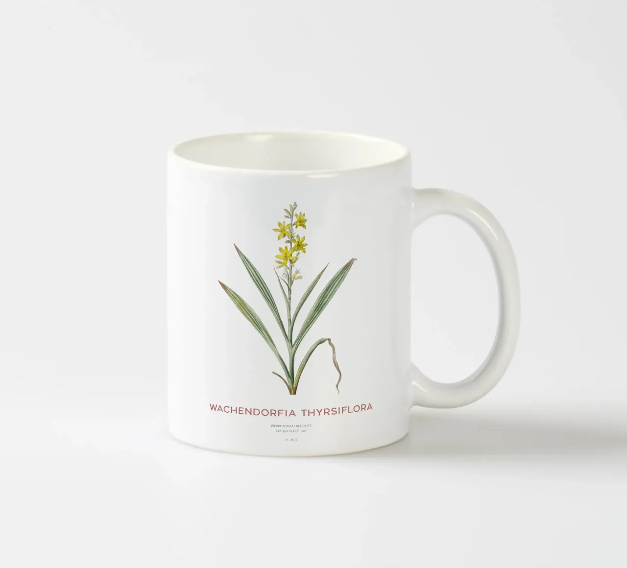 Giglio farfalla di palude o Wachendorfia thyrsiflora tazza in ceramica da Vintagrafica