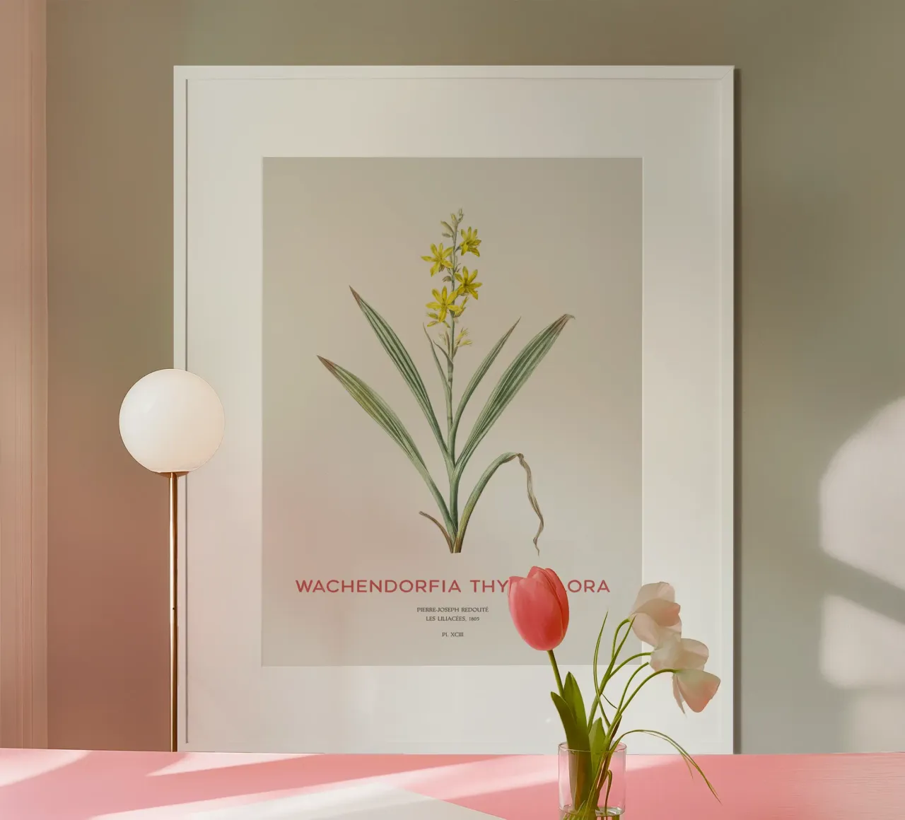 Sumpfschmetterlingsblütler oder Wachendorfia thyrsiflora Hahnemühle von Vintagrafica