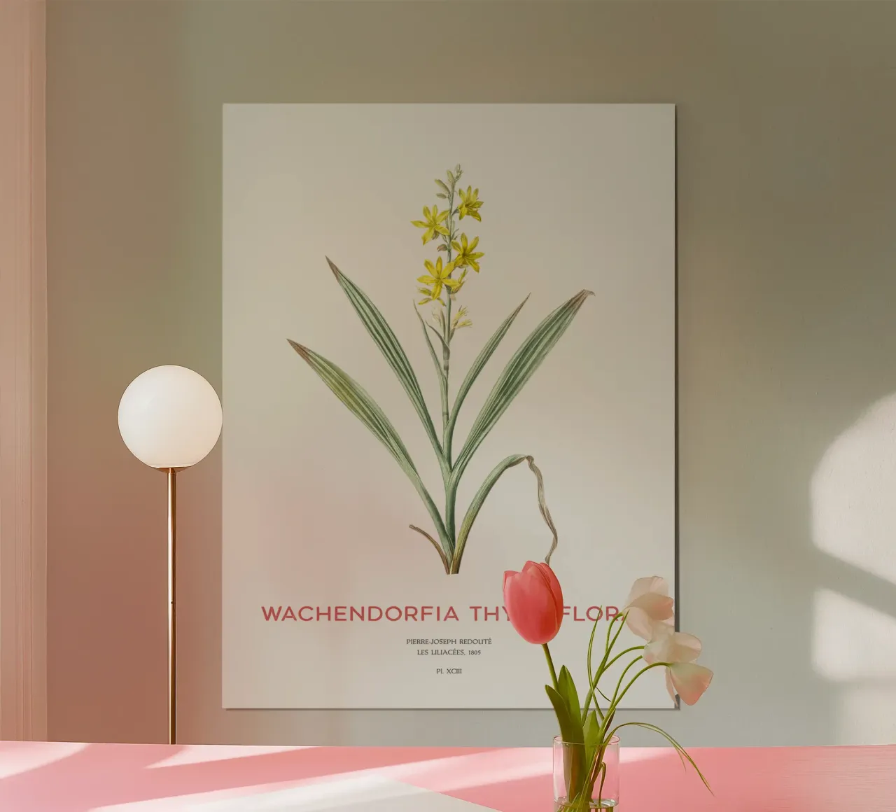 Sumpfschmetterlingsblütler oder Wachendorfia thyrsiflora Hahnemühle von Vintagrafica