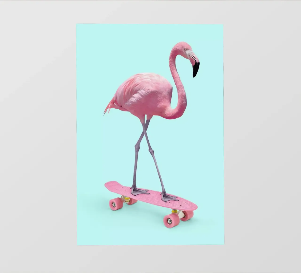Skate Flamingo pellicola backlit da Paul Fuentes Design