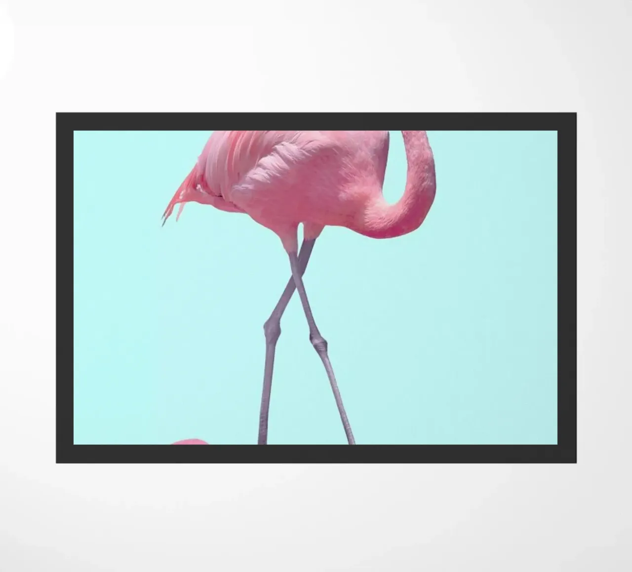 Skate Flamingo zerbino da Paul Fuentes Design