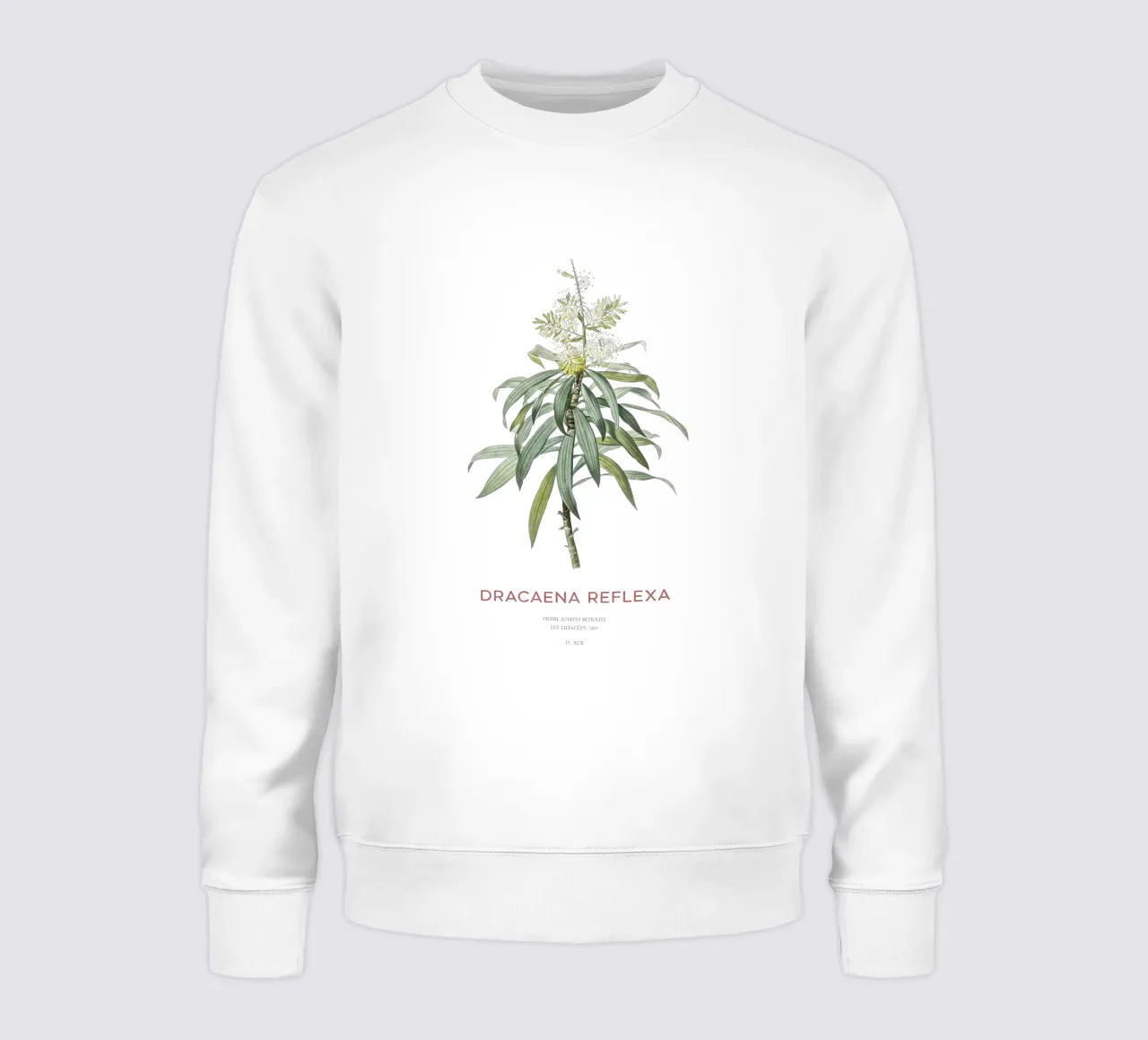 Canzone dell'India o Dracaena reflexa felpa da Vintagrafica