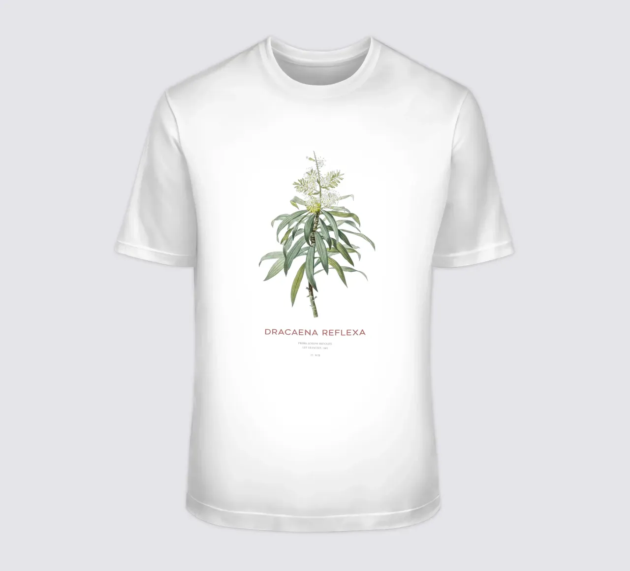 Indisches Lied oder Dracaena reflexa T-Shirt von Vintagrafica