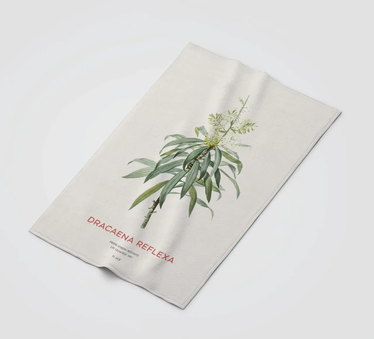 Indisches Lied oder Dracaena reflexa Fleecedecke von Vintagrafica