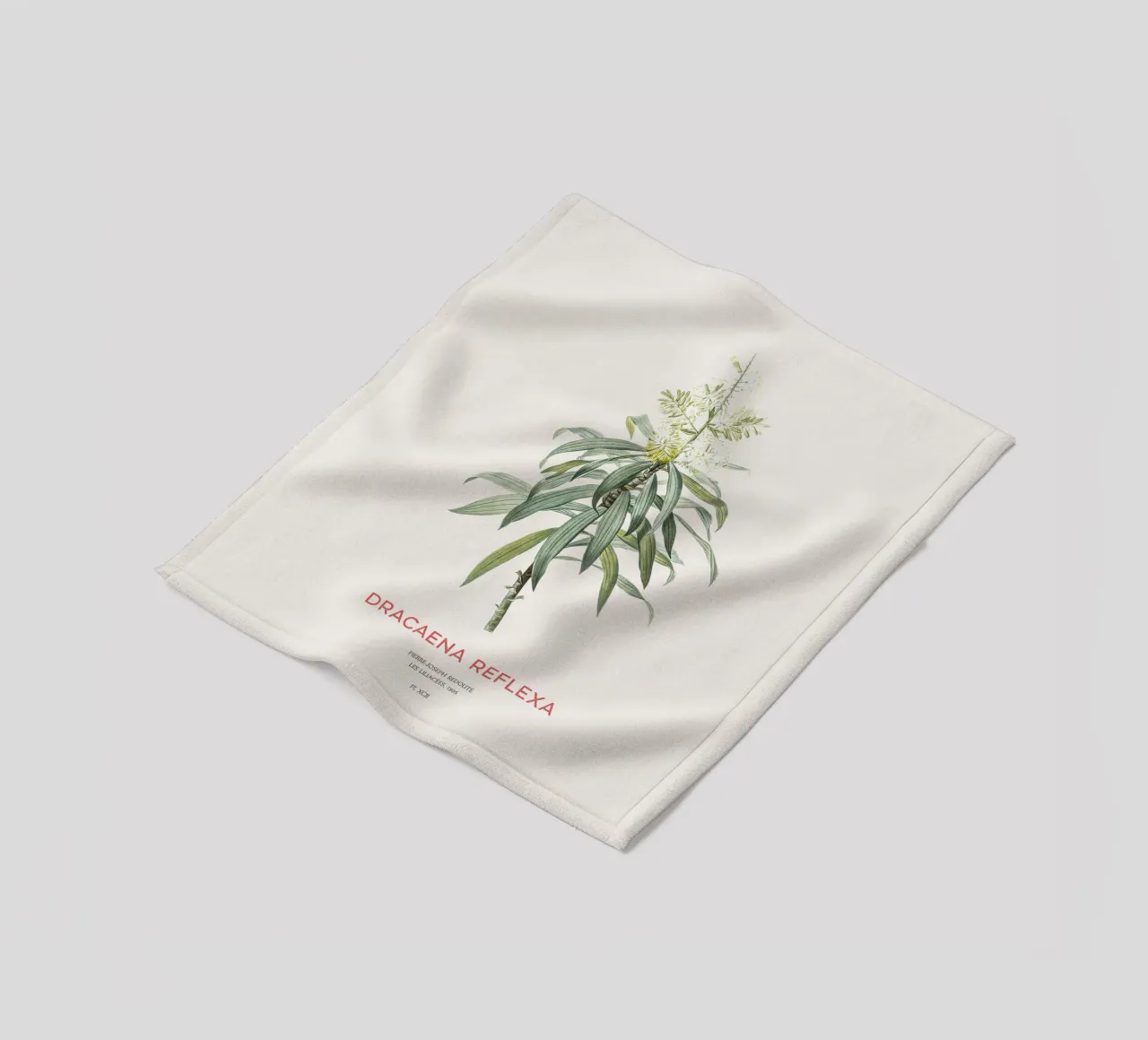 Indisches Lied oder Dracaena reflexa Fleecedecke von Vintagrafica