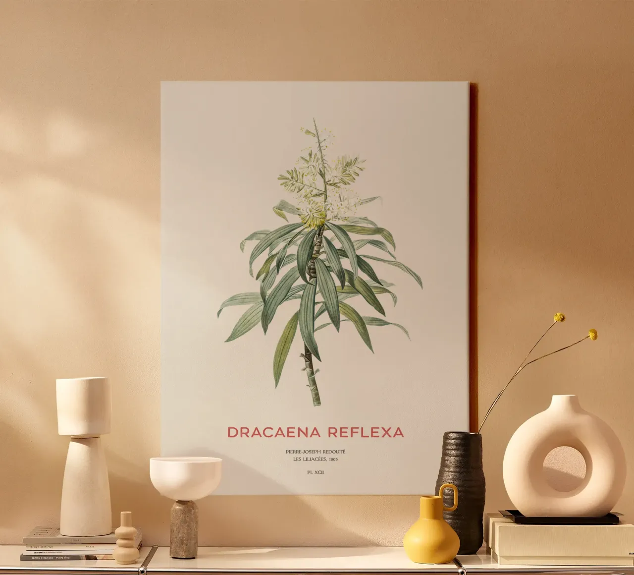 Song of India or Dracaena reflexa canvas by Vintagrafica