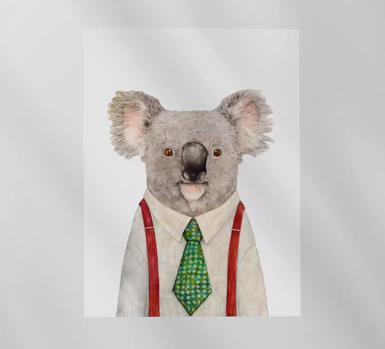 Mr. Koala pellicola backlit da Animal Crew