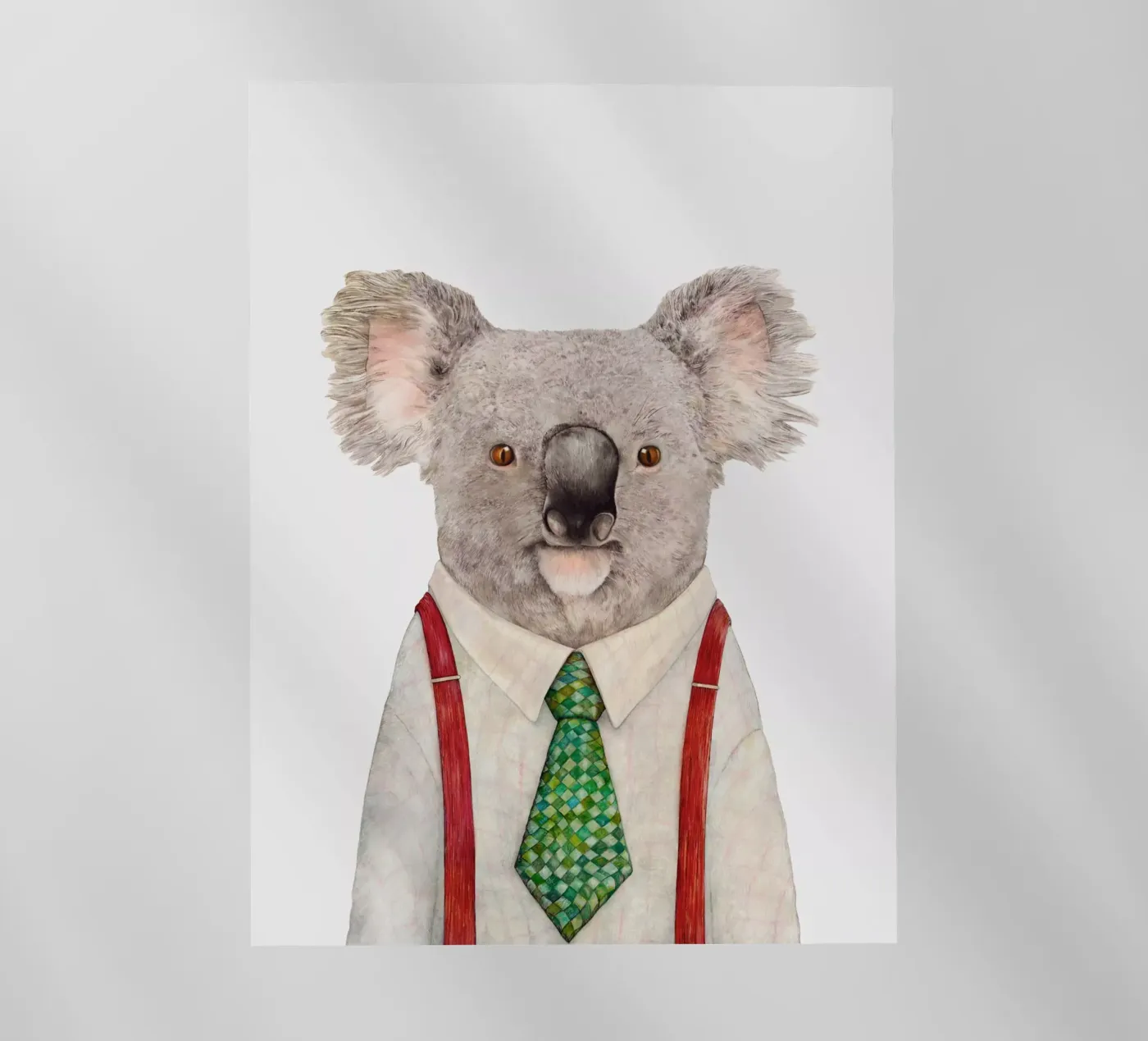 Mr. Koala pellicola backlit da Animal Crew