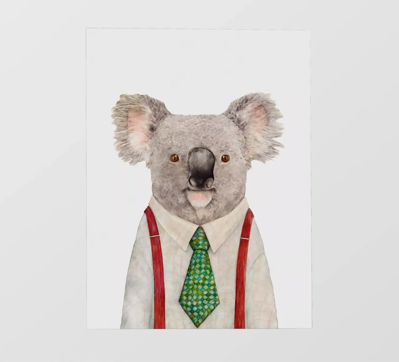 Mr. Koala pellicola backlit da Animal Crew