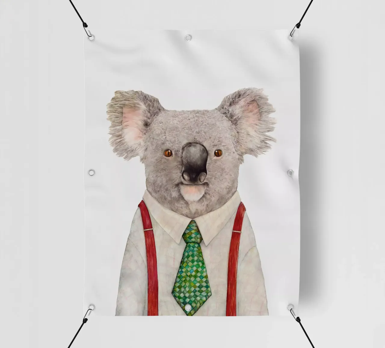 Mr. Koala telo in pvc da Animal Crew
