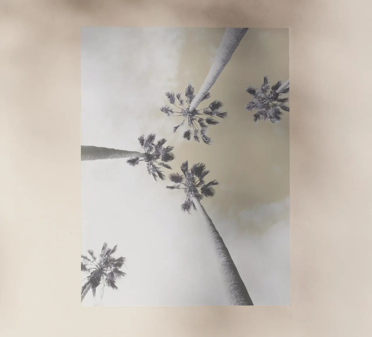 Abstract Palm Trees pellicola backlit da Dagmar Pels