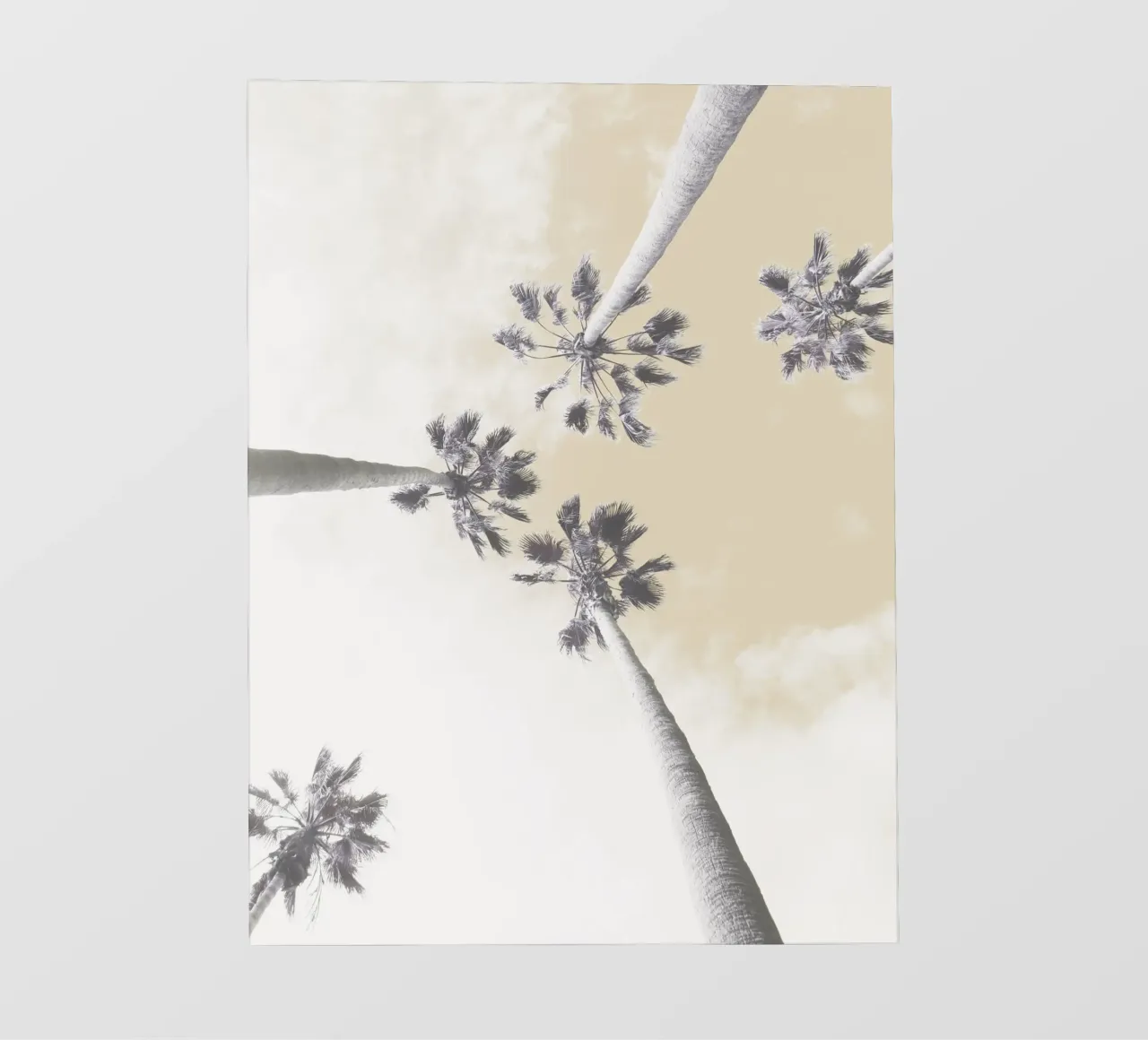 Abstract Palm Trees pellicola backlit da Dagmar Pels