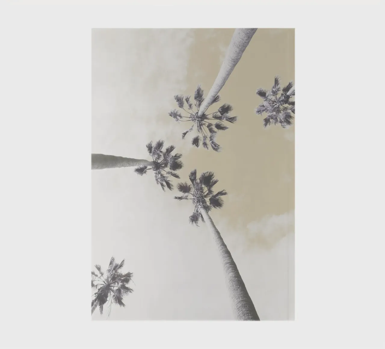 Abstract Palm Trees notebook by Dagmar Pels