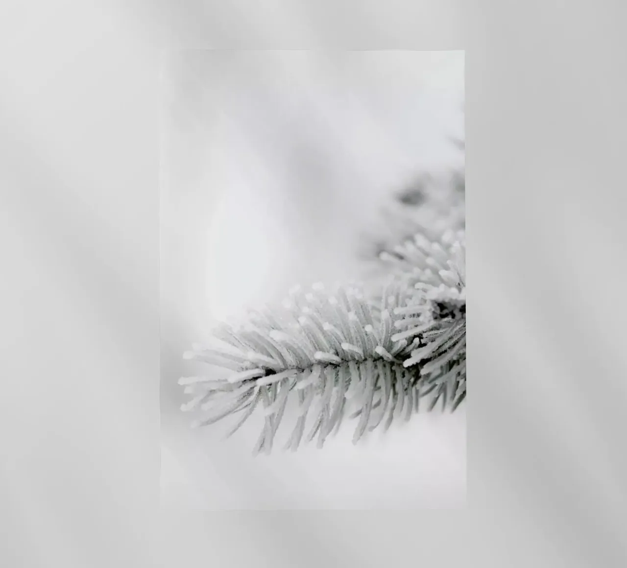 White pellicola backlit da Studio Nahili