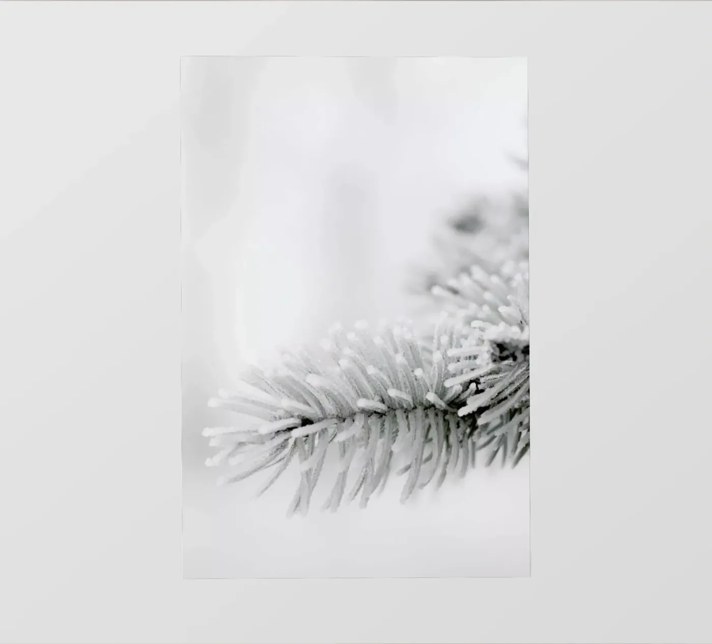 White pellicola backlit da Studio Nahili