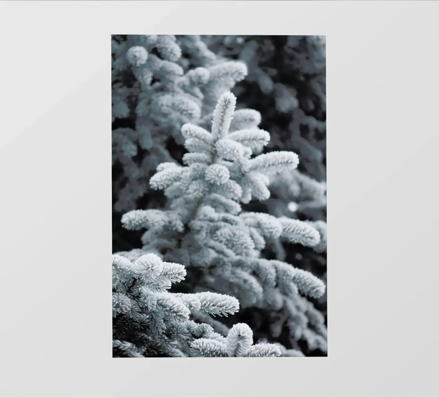 Winter Forest telo in pvc da Studio Nahili