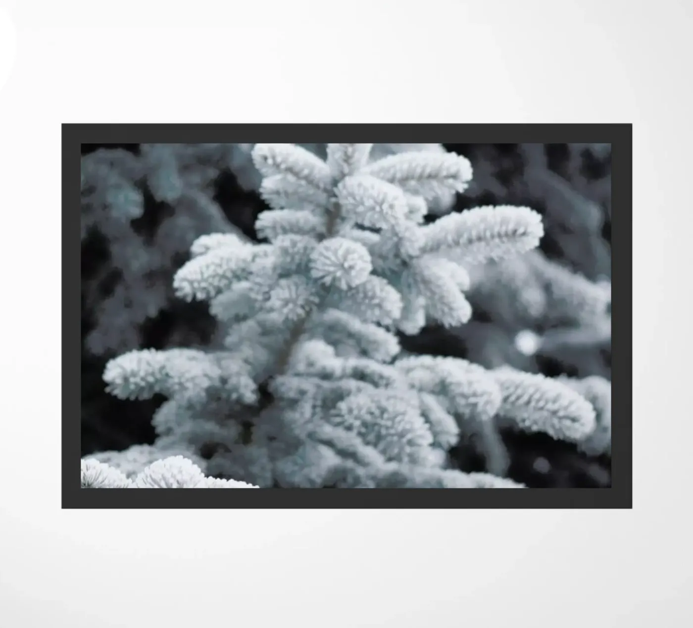 Winter Forest Fußmatte von Studio Nahili