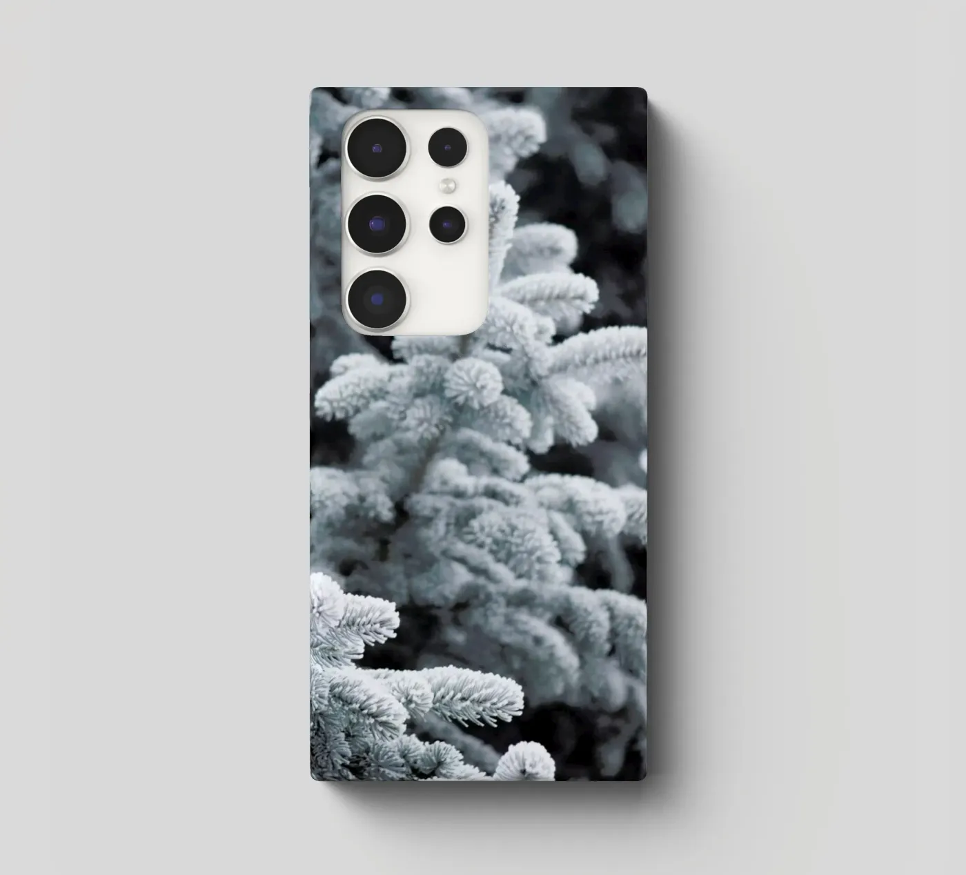 Winter Forest cover samsung da Studio Nahili