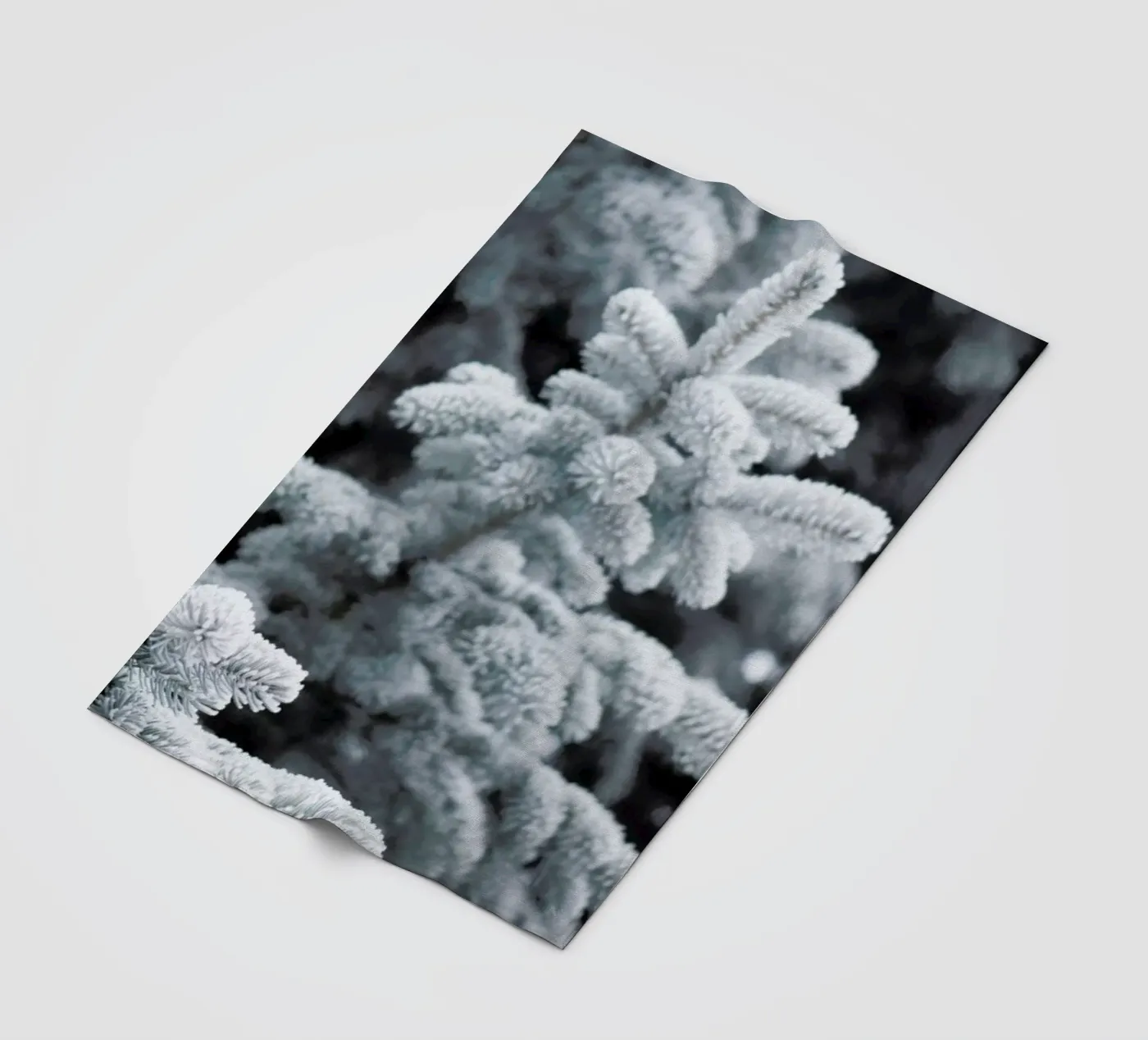 Winter Forest Fleecedecke von Studio Nahili