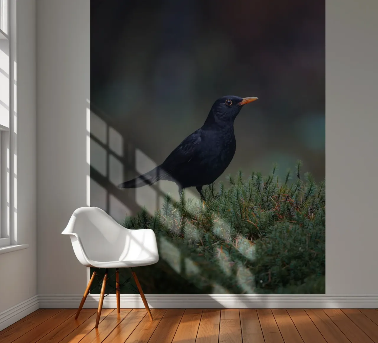 Merel fotobehang van Tom's Wildlife