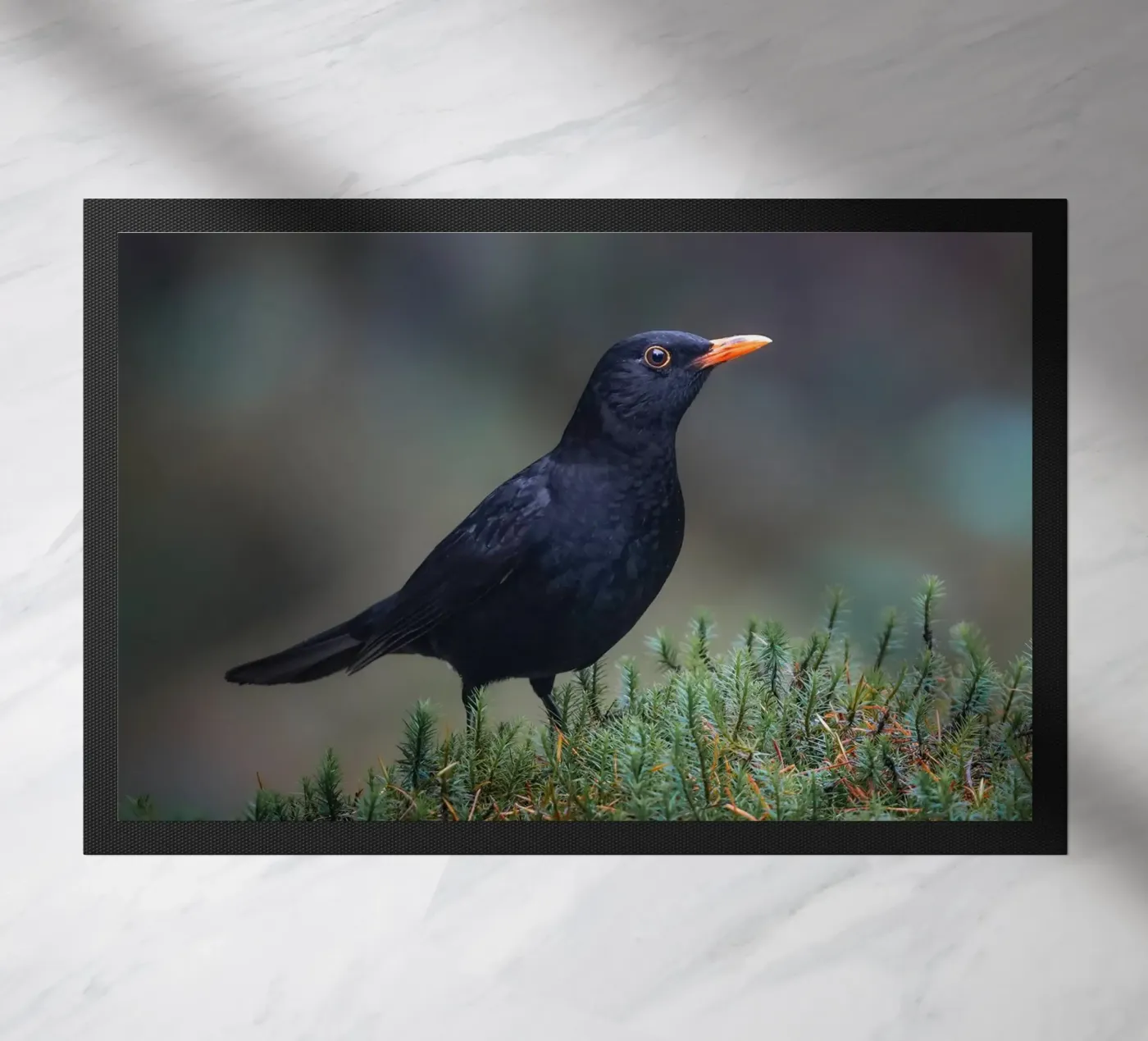 Amsel Fußmatte von Tom's Wildlife