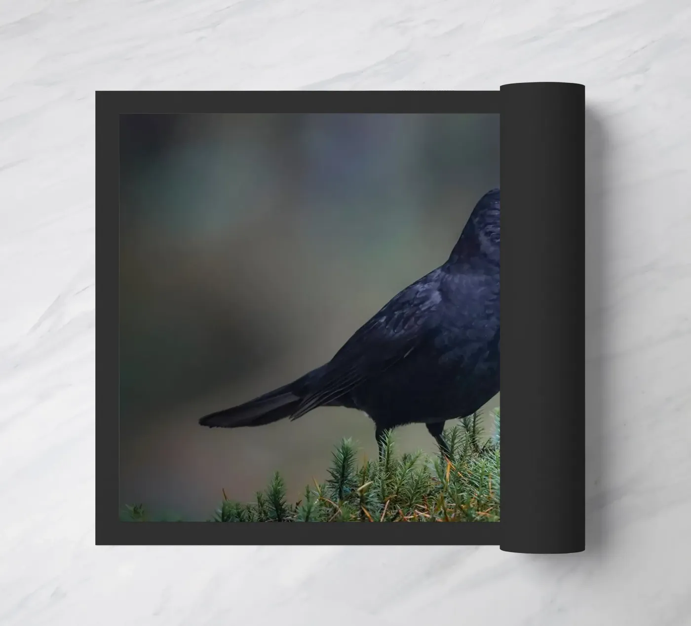 Amsel Fußmatte von Tom's Wildlife