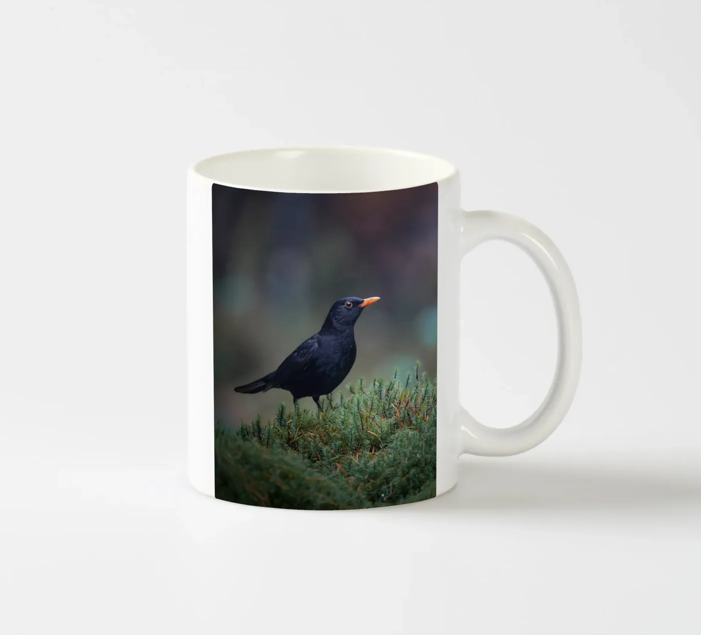 Blackbird ceramic mug by Tom's Wildlife