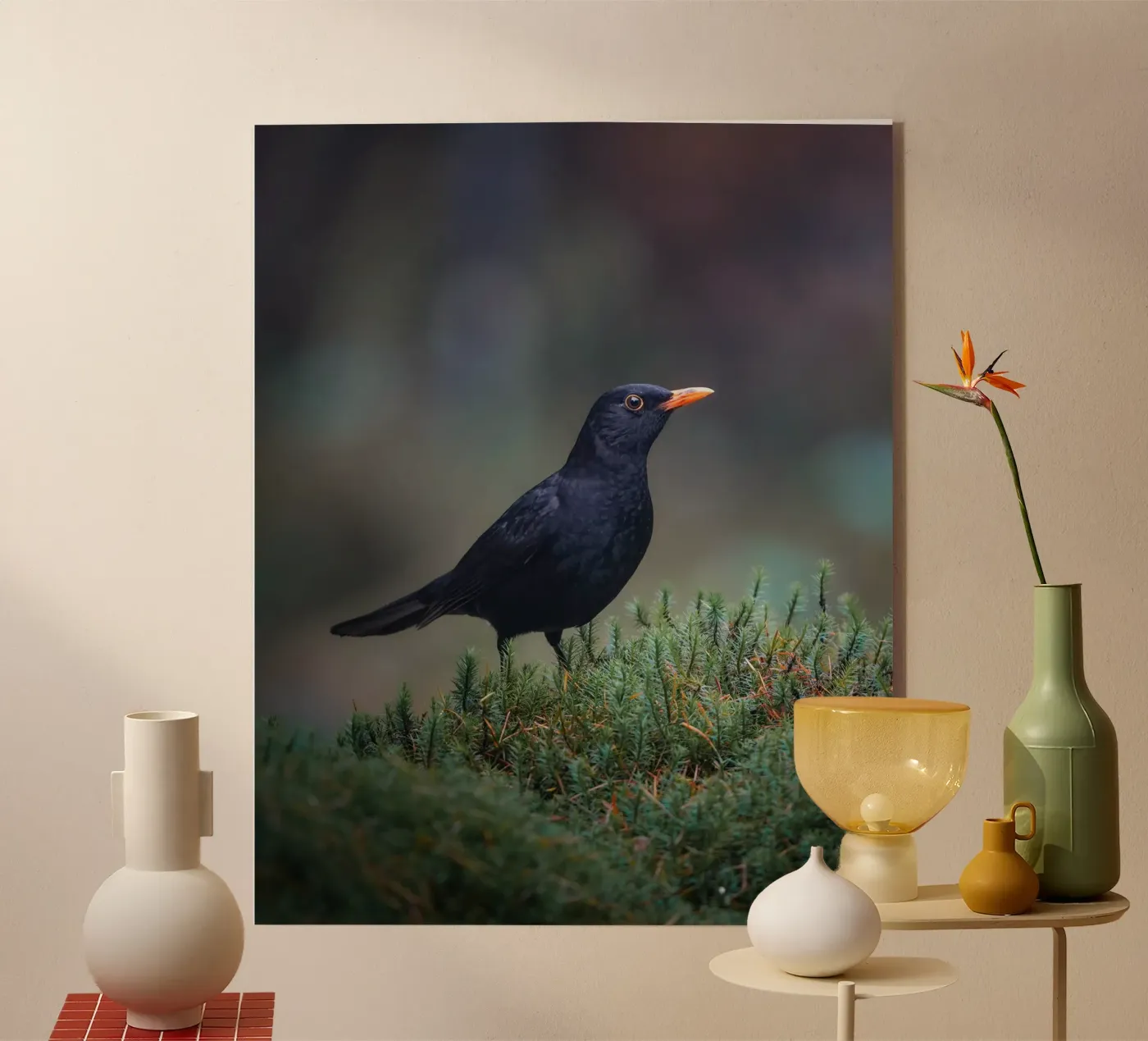 Merel acryl van Tom's Wildlife