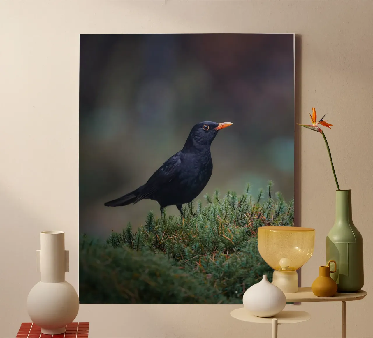 Blackbird canvas by Tom's Wildlife