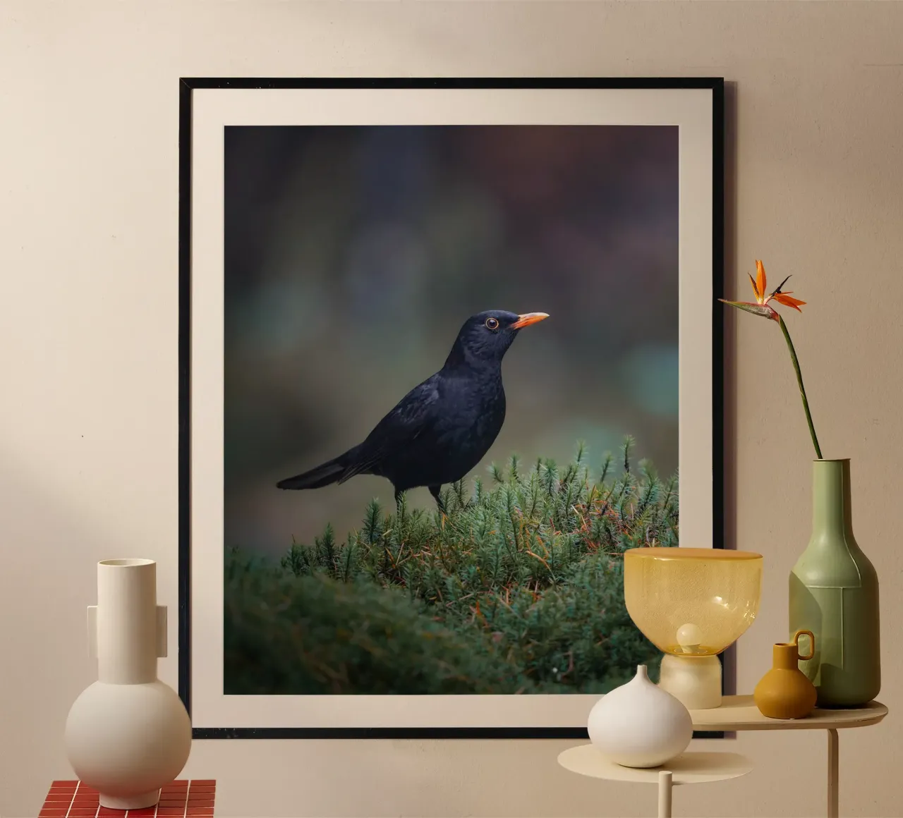 Merlo poster da Tom's Wildlife