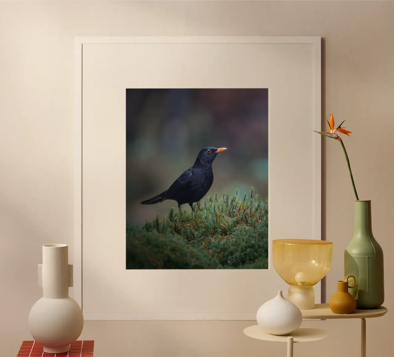 Merlo poster da Tom's Wildlife