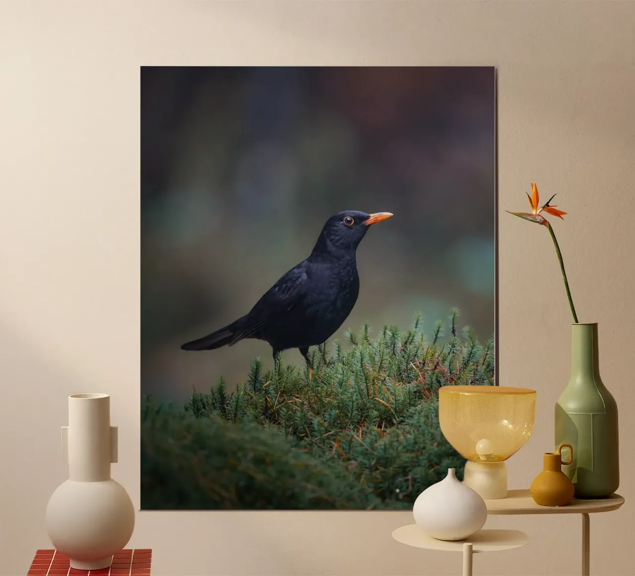 Merlo poster da Tom's Wildlife