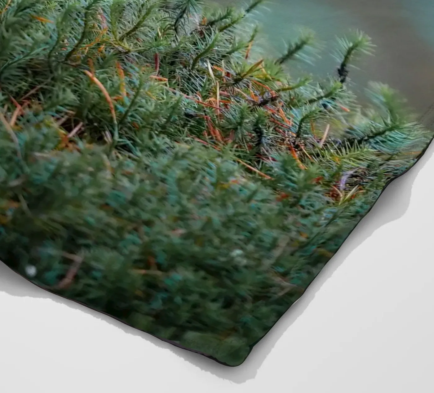 Amsel Fleecedecke von Tom's Wildlife
