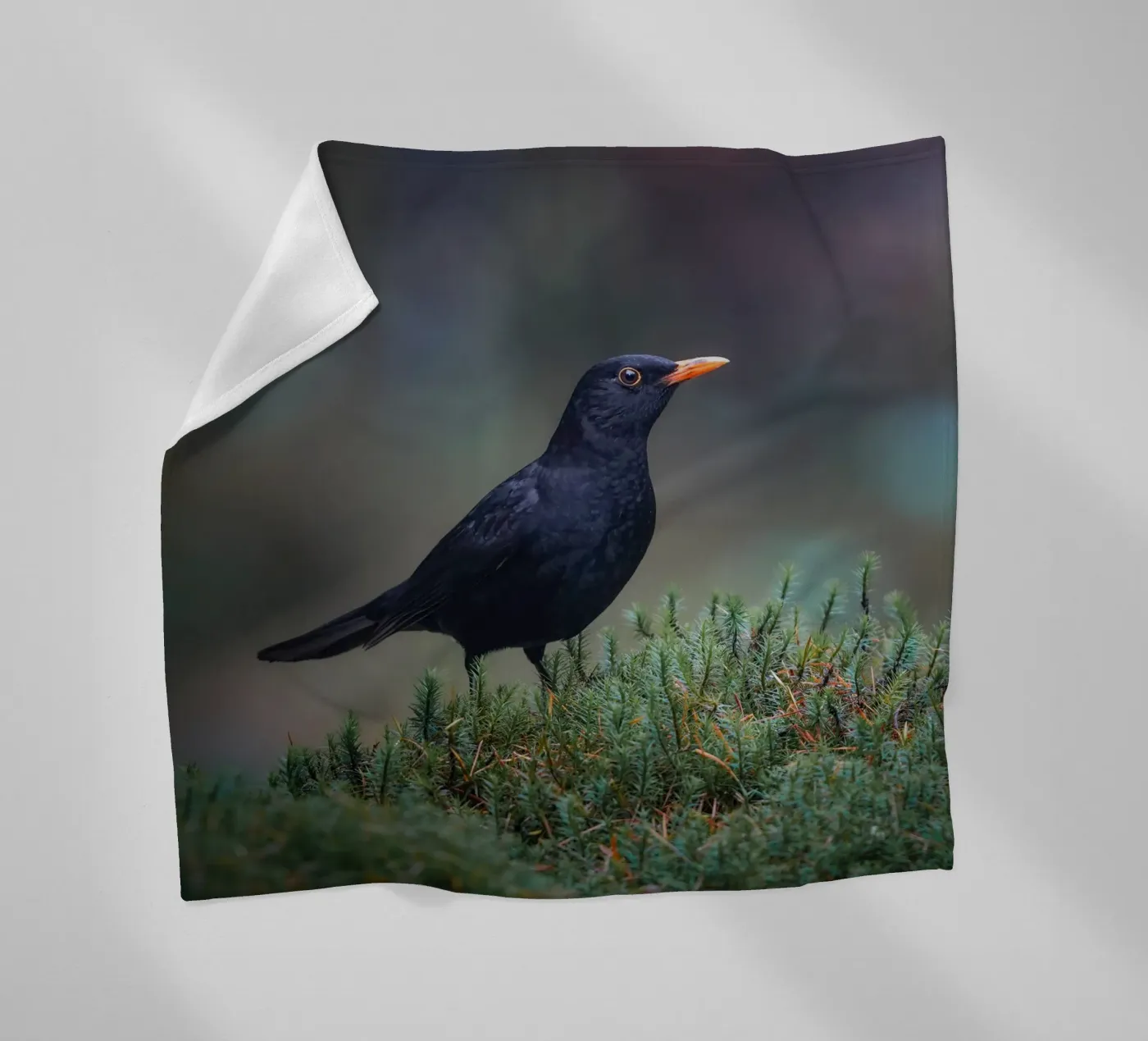 Amsel Fleecedecke von Tom's Wildlife