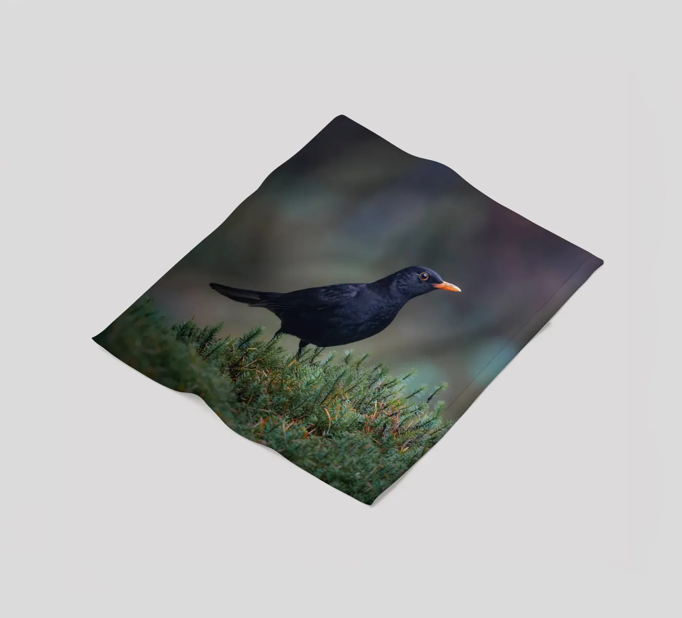 Amsel Fleecedecke von Tom's Wildlife