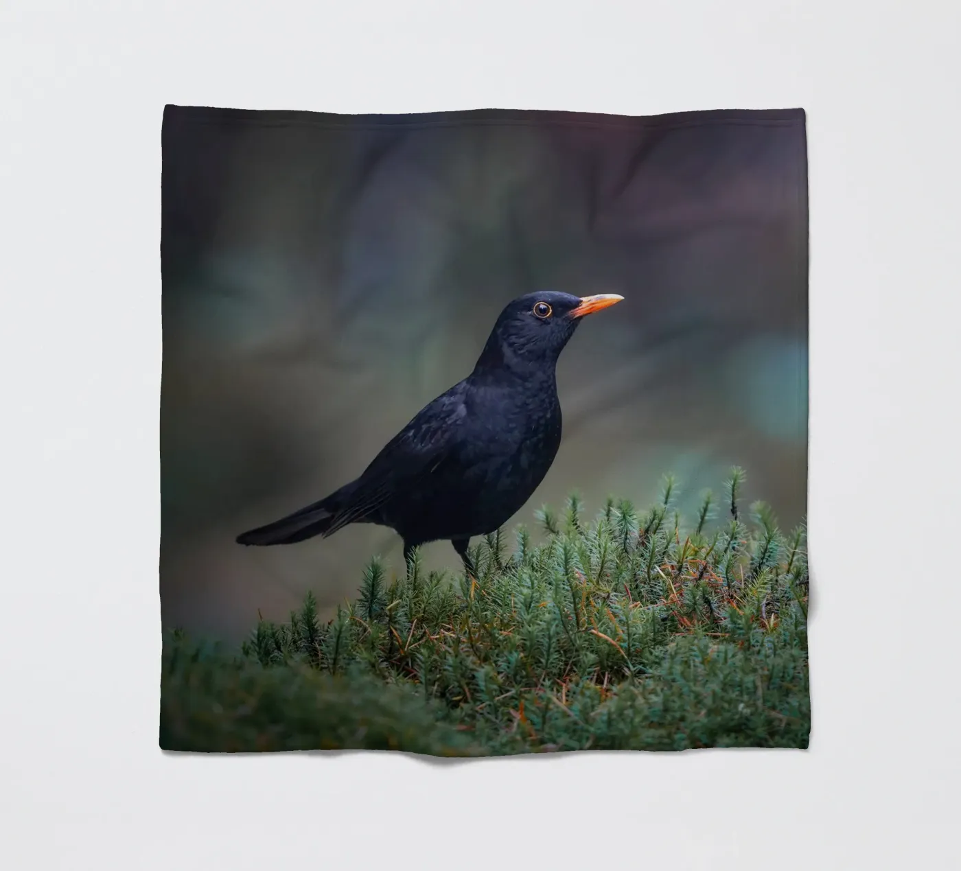 Amsel Fleecedecke von Tom's Wildlife